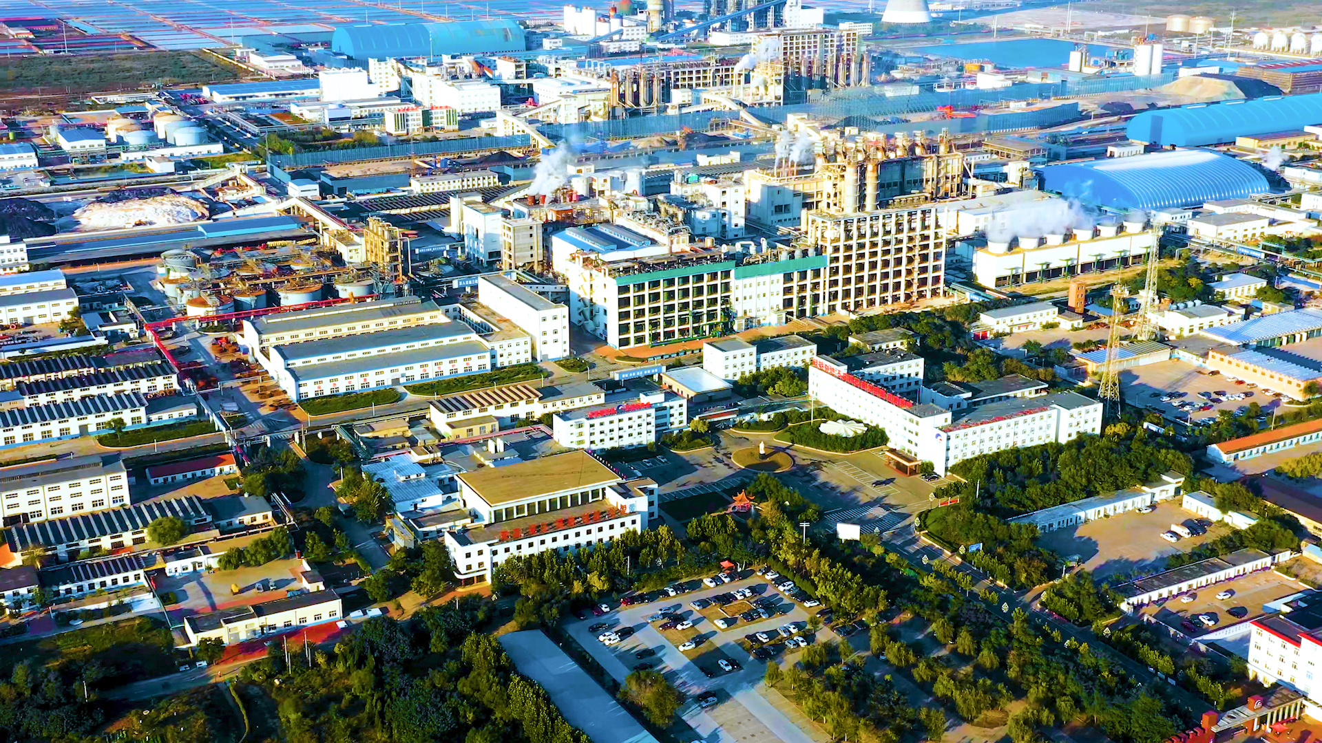 “向‘潍’来·看未来”全国主流媒体见证潍坊经济社会高质量发展答卷