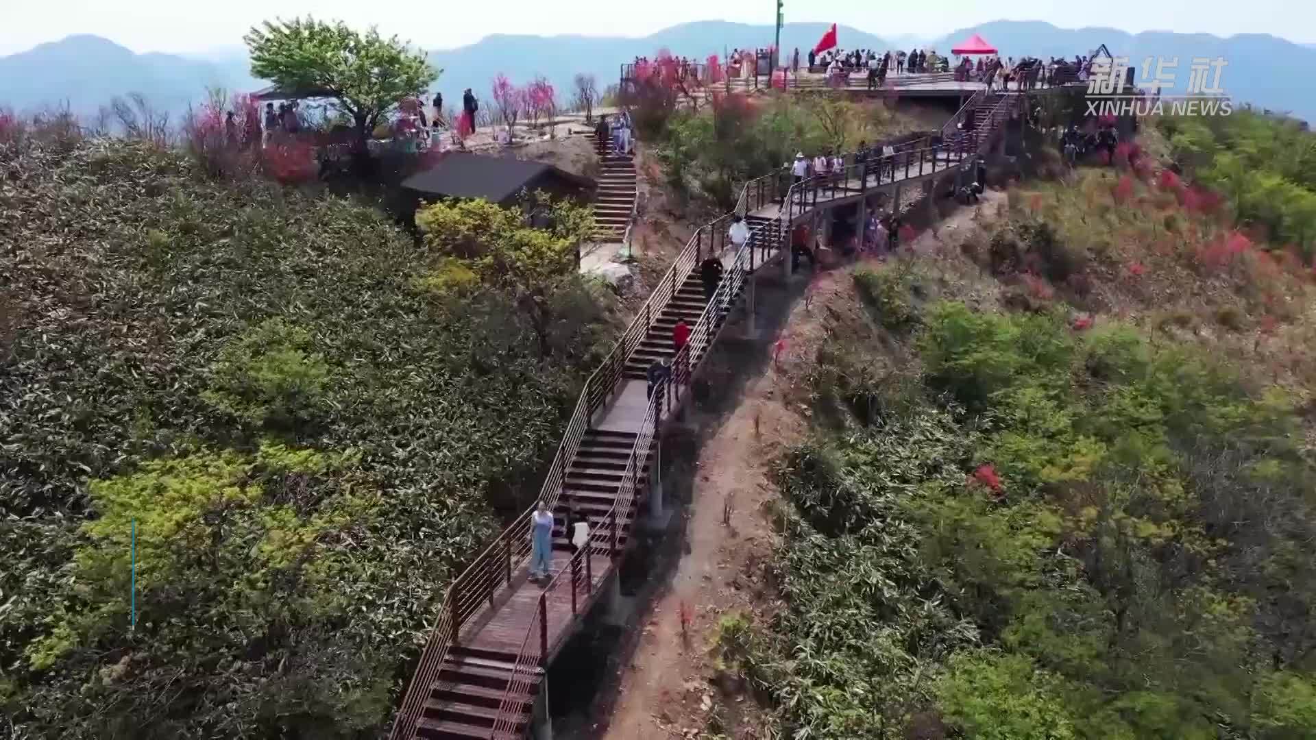 杭州开通高山无人机外卖航线 助力“春日经济”发展