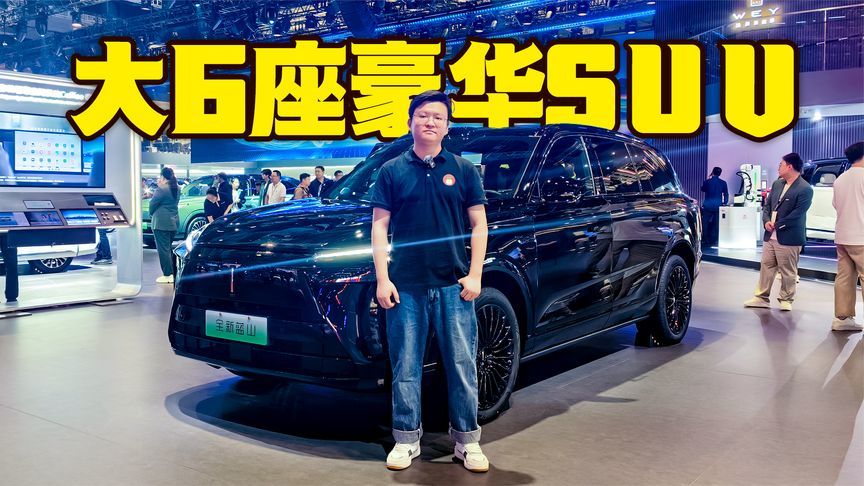 彩电冰箱大沙发，魏牌蓝山家用真合适