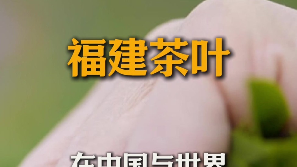 何以中国｜习近平的闽茶缘