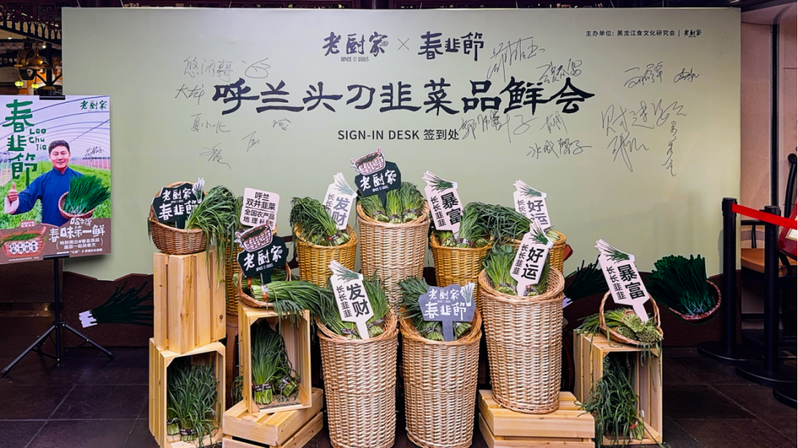 （老厨家春韭节品鲜会活动现场 展示当日呼兰头刀春韭）