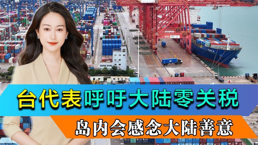 台代表呼吁大陆零关税，台湾人会感念大陆善意，宋涛送岛内三句话