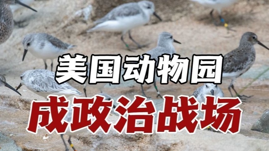 特朗普改动物园竟为“美国优先”？砍预算缩鸟展删气候议题