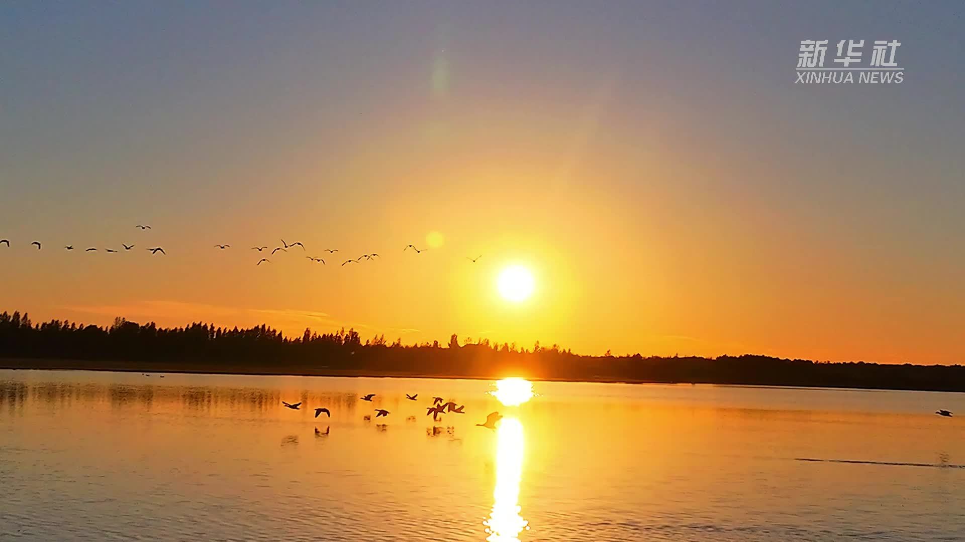 瞰中国｜聆听鄂托克草原之声