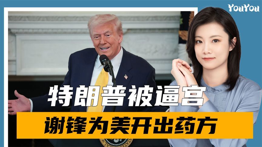 900多人联名上书，特朗普被逼宫，谢锋开出药方，关税战按暂停键