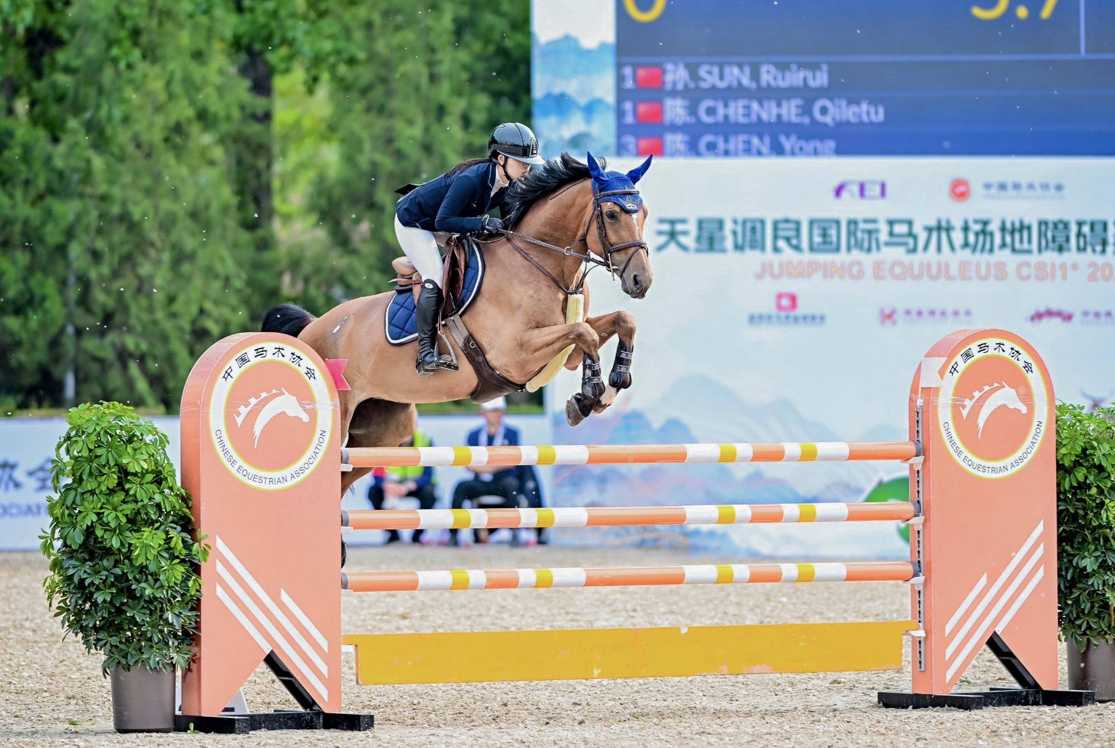 国际马术创意之春(北京)再度绽放 天星调良国际马术场地障碍赛提升城市区域经济活动