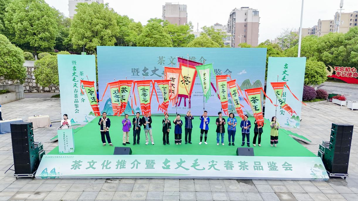 省级非遗项目·古丈毛尖历代茶王