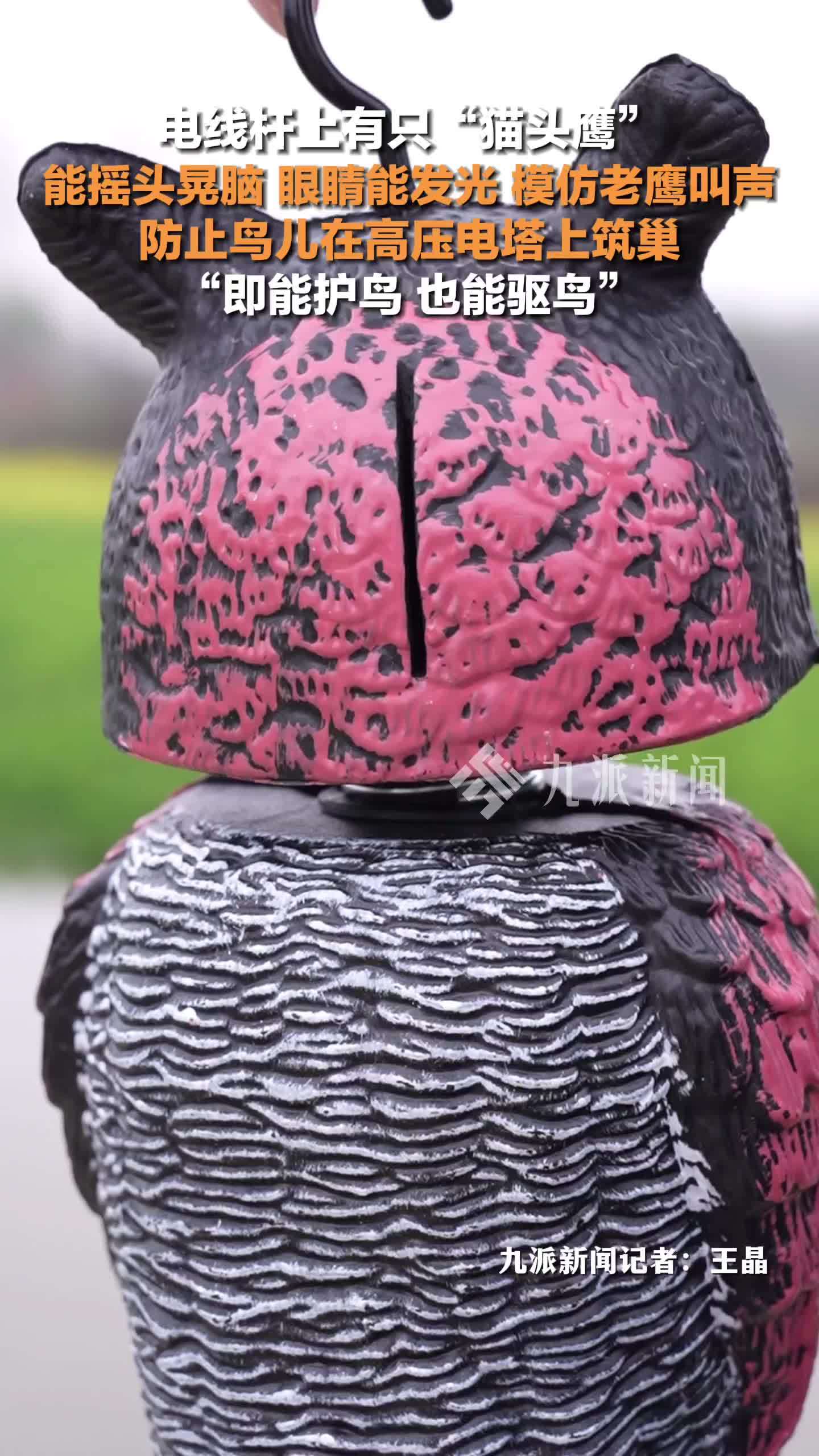 电线杆上摆只猫头鹰防止鸟儿筑巢，能摇头晃脑、眼睛能发光、模仿老鹰叫声