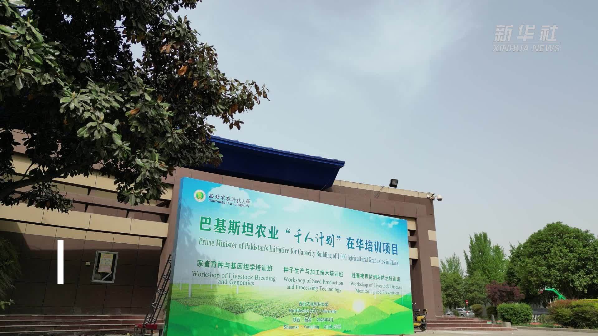 巴基斯坦“新农人”求学陕西杨凌 共绘中巴农业合作新图景