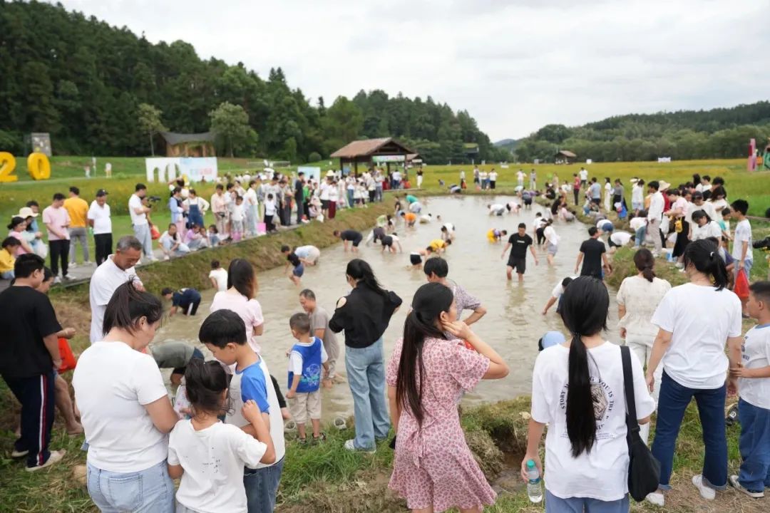 全新升級、找“稻”快樂！“五一”來渝水下保就對了