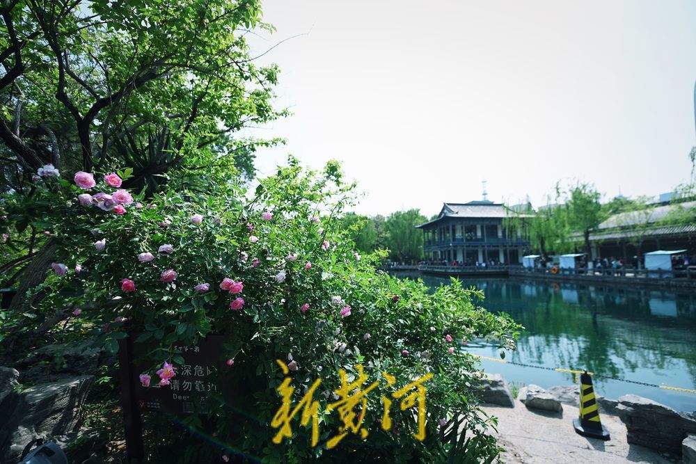 五龙潭泉畔川剧“变脸表演”吸眼球