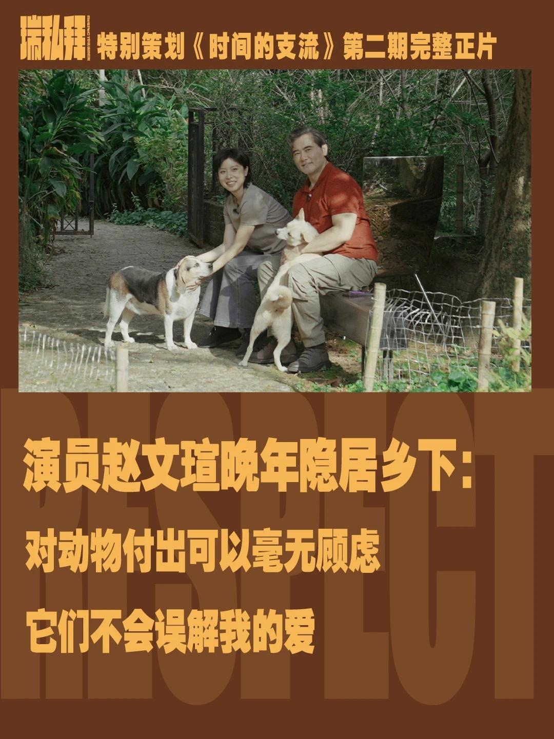 他曾是《大明宫词》中惊鸿一瞥的薛绍，如今退休后隐居在宁波乡下的寺庙旁，与数十只猫、狗、鹅、鸭等动物为伴，毫无“美人迟暮”的焦虑。面对未婚未育的争议，#赵文瑄 直言“子女啃老更可怕”。他在与动物的相处