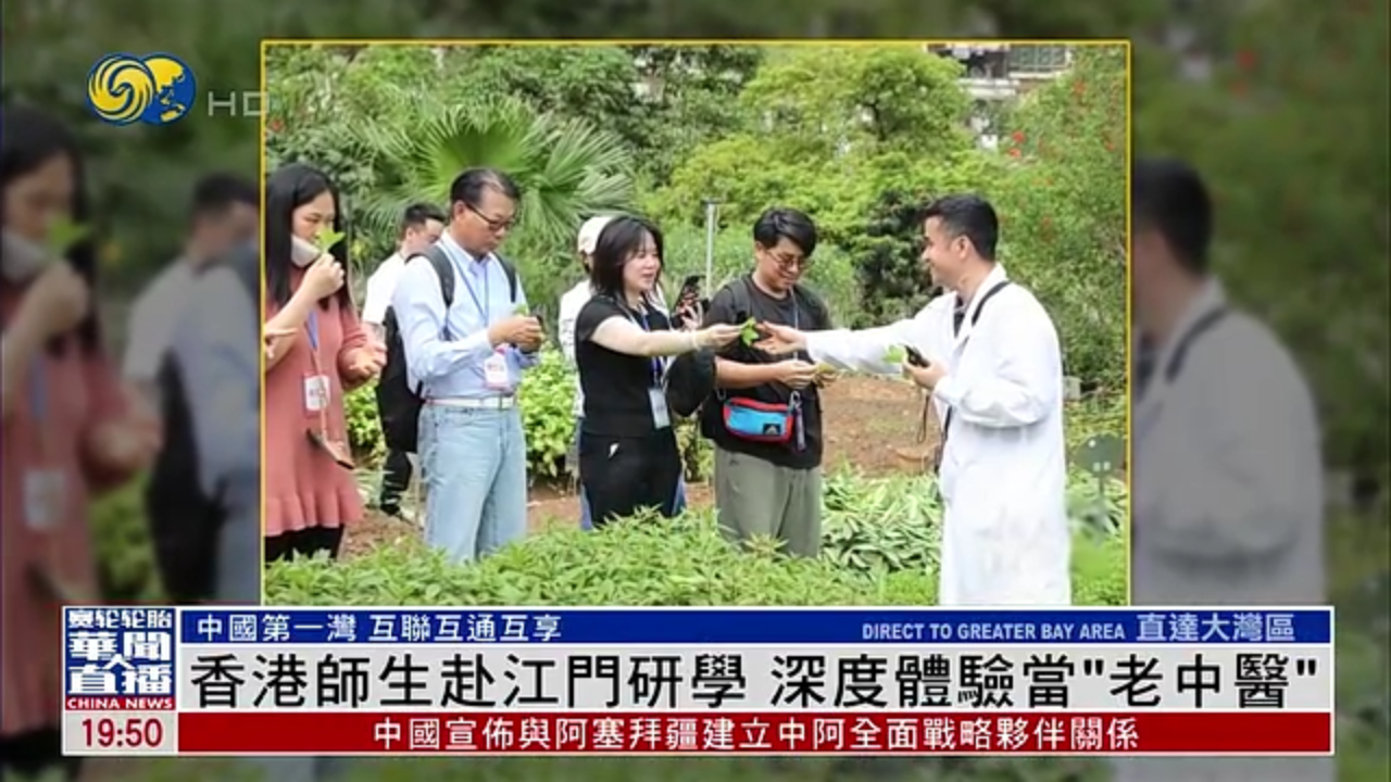 直达大湾区｜香港师生赴江门研学 深度体验当“老中医”
