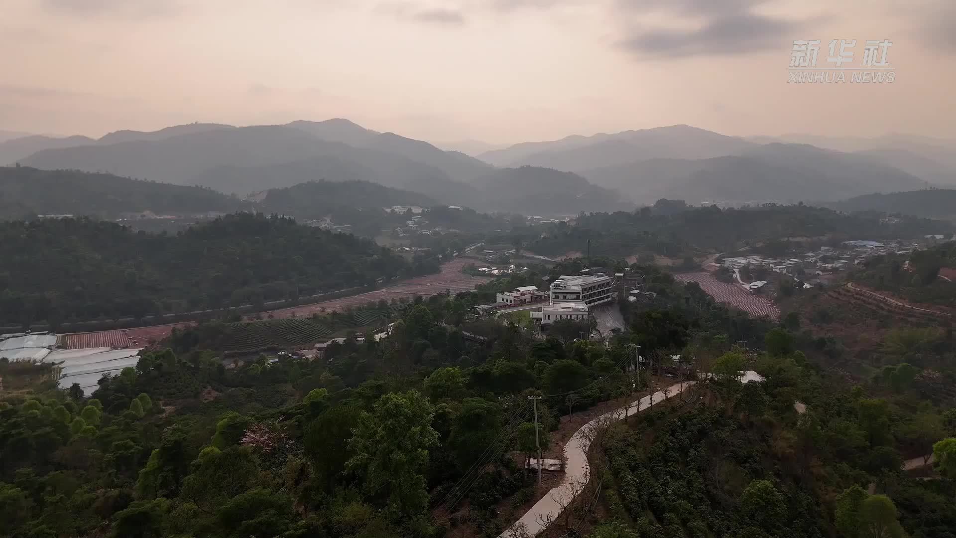 车轮上的咖啡香：数字货运助力云南咖啡“出山记”