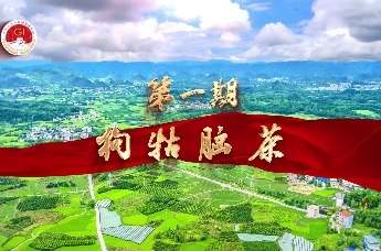 弘扬地标文化、助力乡村振兴”地标产品展播——狗牯脑茶