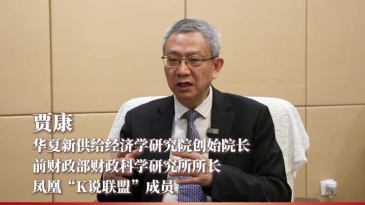 贾康：守市场决定论之政，出政府作用论之奇