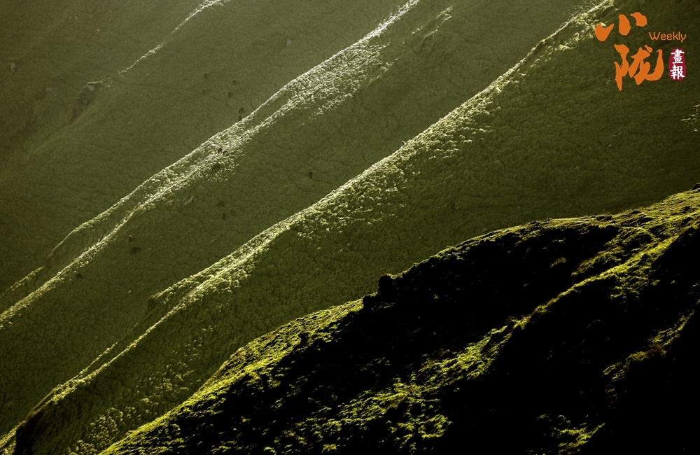 陇南千坝草原:诗意云雾 一派原始风光