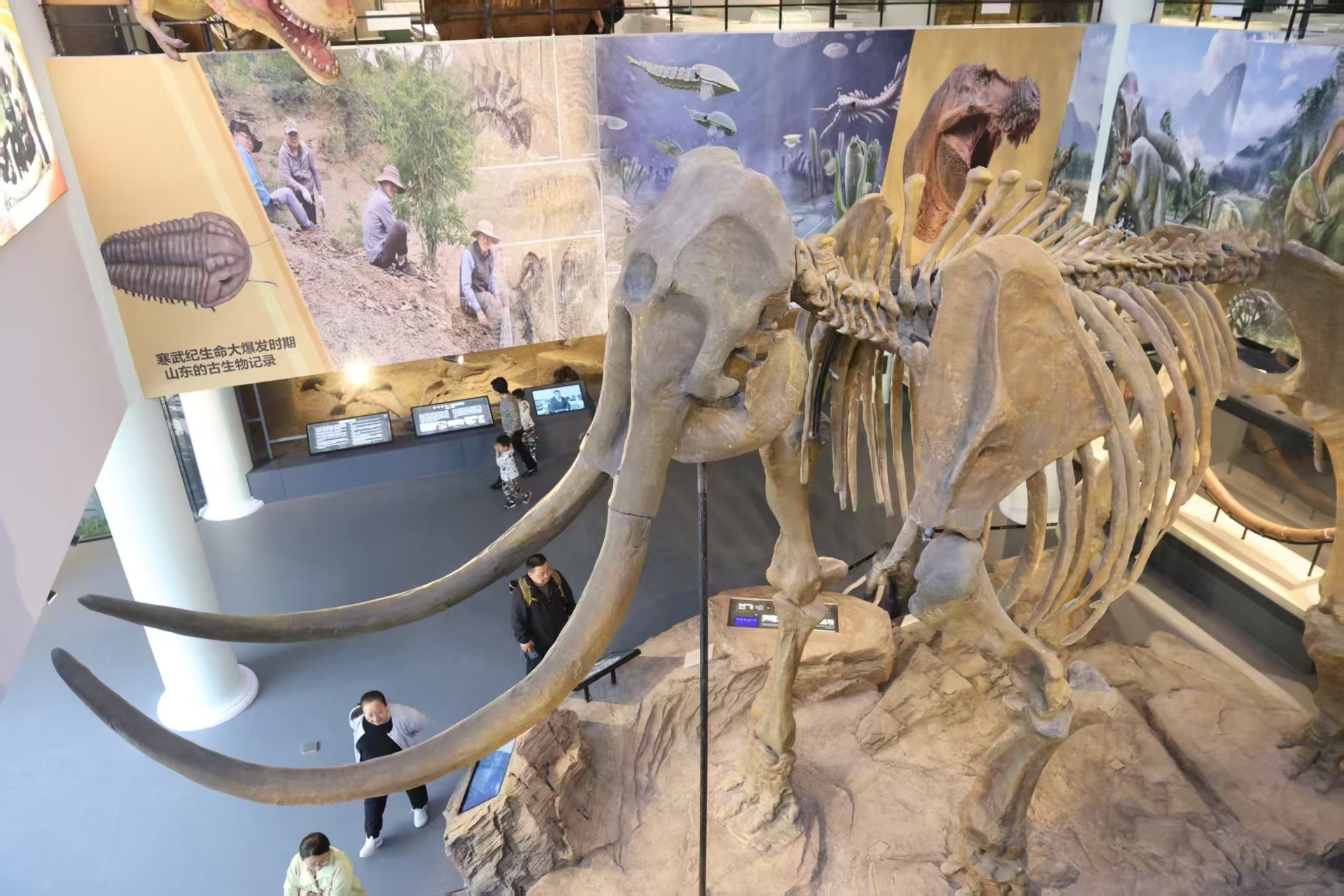 “向‘潍’来·看未来”全国主流媒体见证潍坊经济社会高质量发展答卷