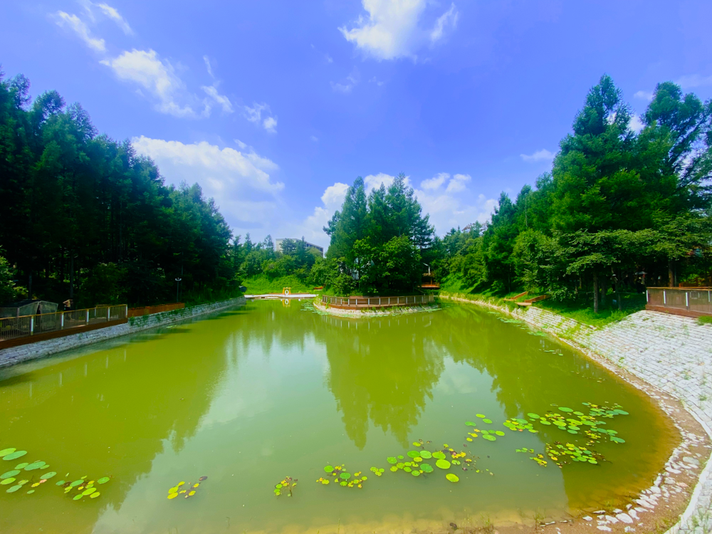 舒心度假，精彩森林——黑熊&middot;森林里度假区五一正式开园！