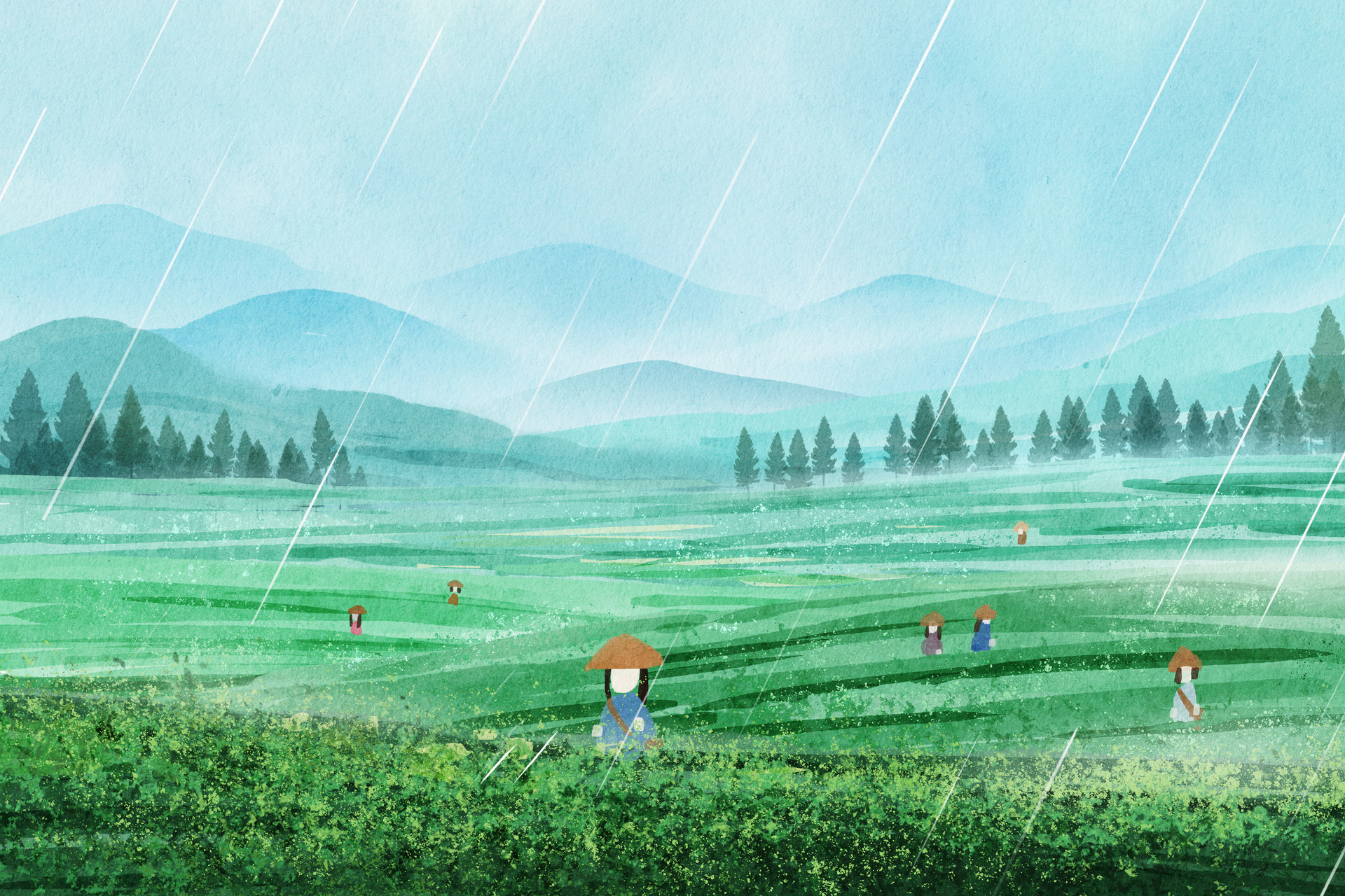 以茶为媒 崂山茶谷雨开采节启动助力农文旅融合发展