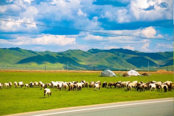 五一来甘南　线路都给你备好了