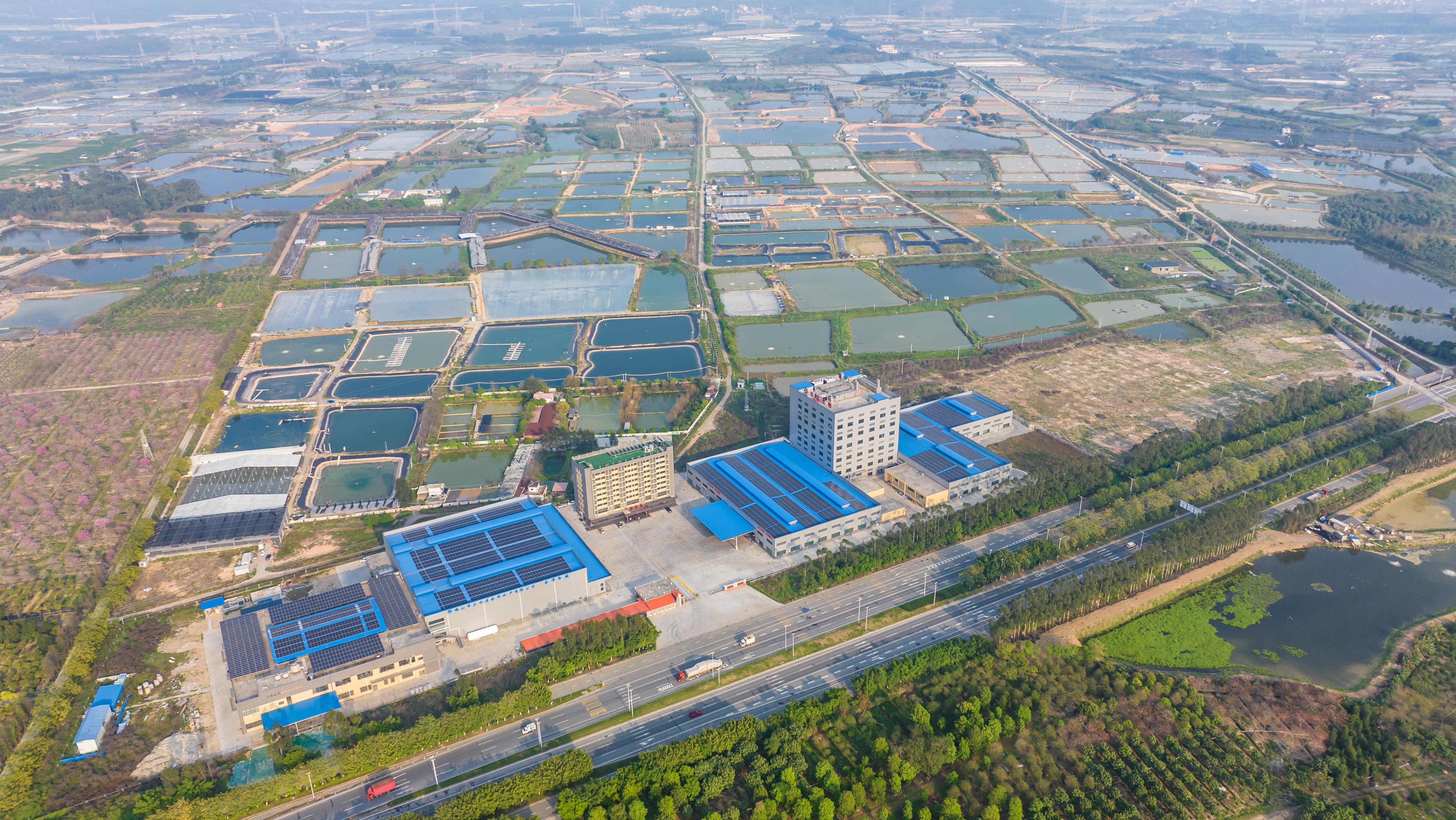 破局!三水新质农业以八大工程亮出硬核答卷