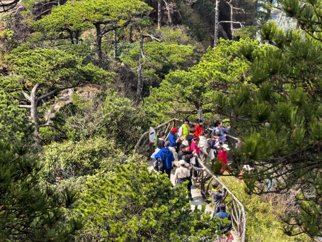 “玉女开怀”观景平台实况