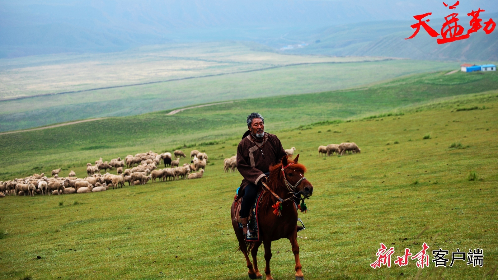 电影《天盖勒》海报