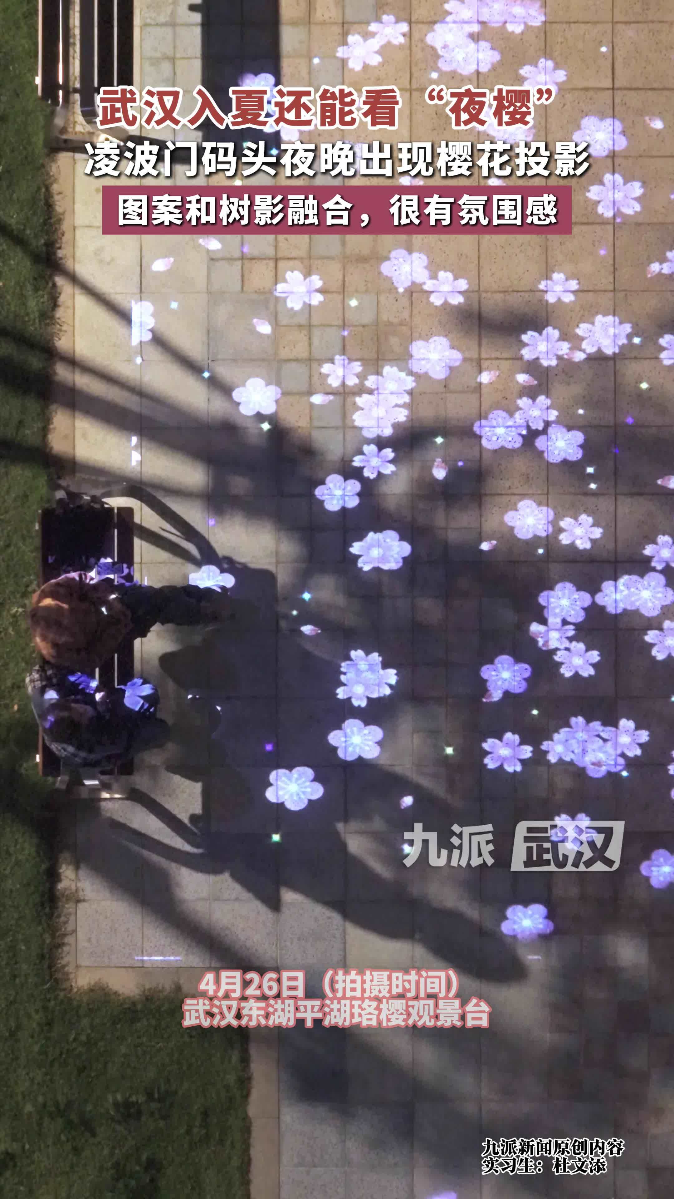 武汉入夏还能看“夜樱”，凌波门码头夜晚出现樱花投影，图案和树影融合，很有氛围感