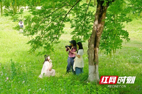 年轻女孩们在此游玩拍照。