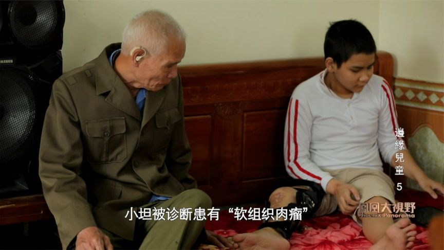 越战结束50周年｜影响至少三代人基因，美军留越南的“橙剂”灾难