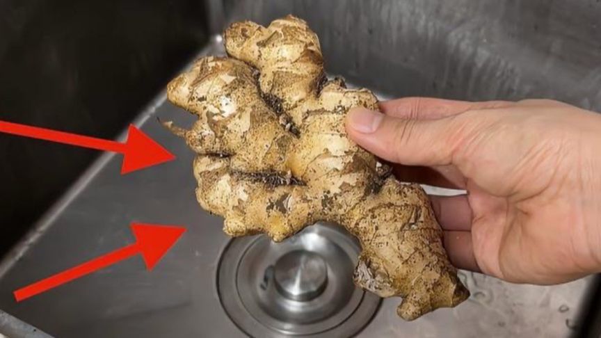 原来饭店的生姜皮是这样去的，难怪又快又干净，一点不浪费，高手