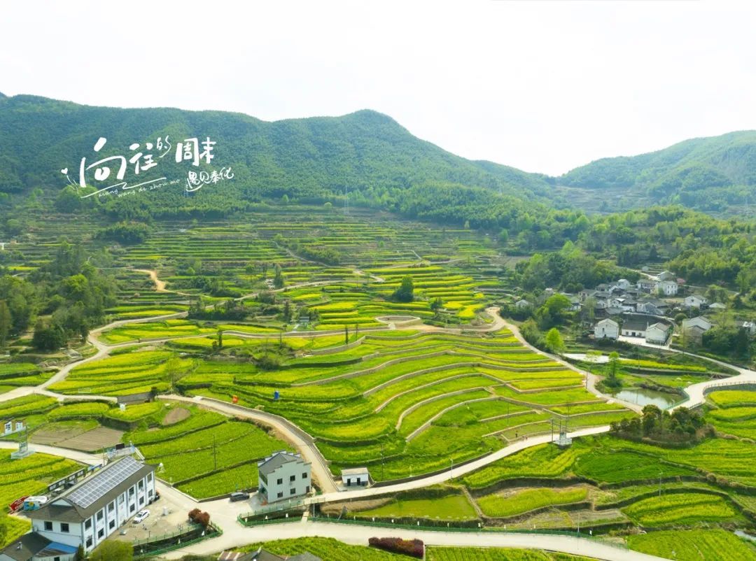 微信截图_20250425144457.png
