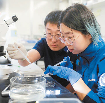 何以青春 何为青年（时代之问 青春作答）