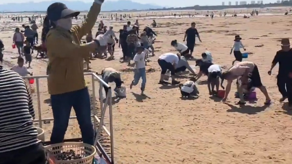 五一赶海挖不到蛤蜊？景区工作人员给你撒