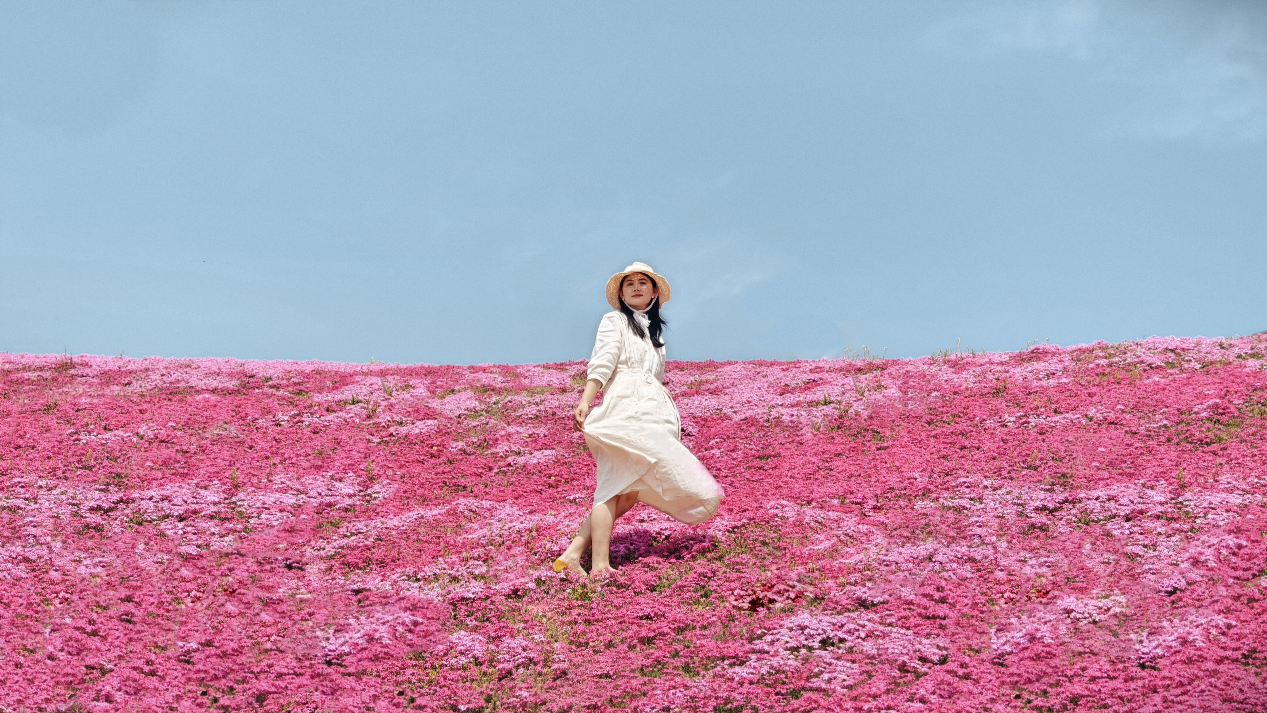 “五一”假期青岛世博园“趣”玩指南！ 绝美芝樱花海+萌宠互动+植物探秘…即刻出发！