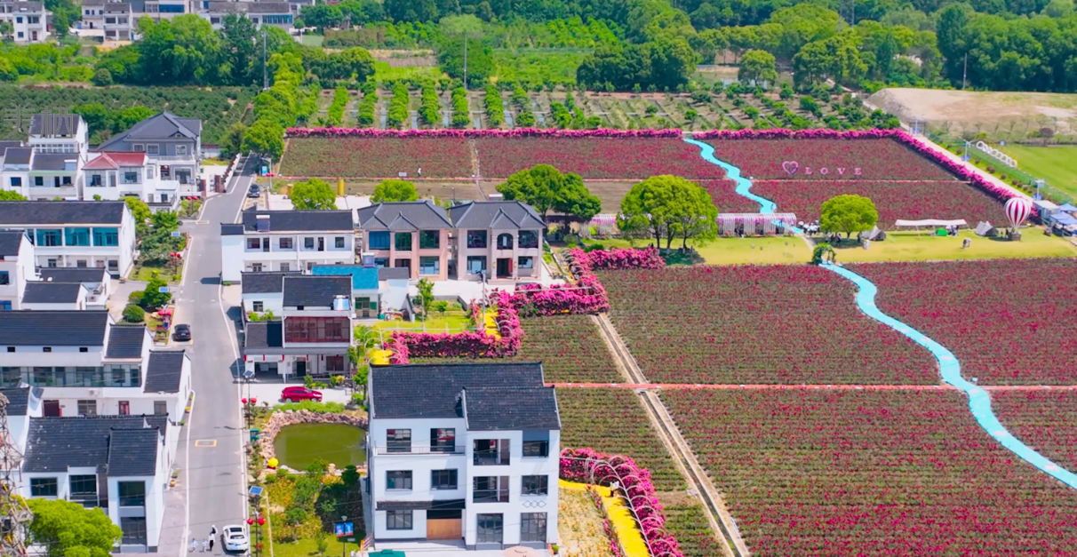 乡村旅游不乡村，美栖村在这个五一用国潮风为“花事业”增色