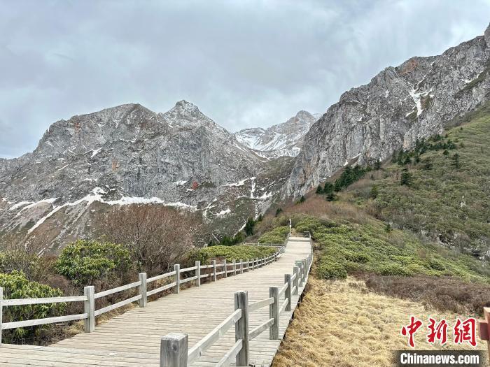 图为雷古山冰雪未消，木栈道供游客行走与赏景。官鹅沟由官珠沟、鹅嫚沟、雷古山等核心游览区组成，2022年被确定为国家5A级旅游景区。据了解，“五一”假期期间，雷古山索道往返票价享五折优惠。闫姣　摄