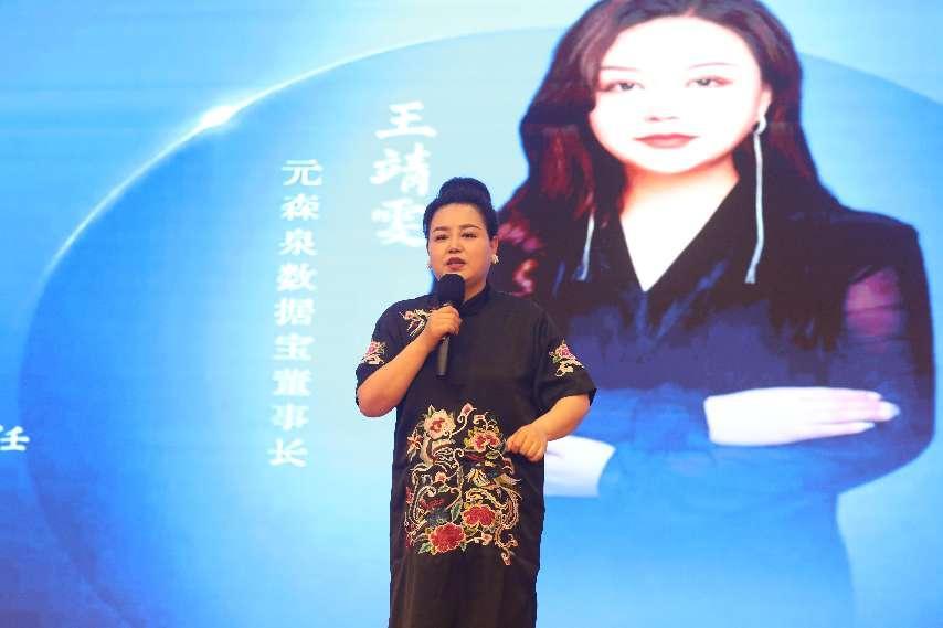 元森泉数据宝董事长王靖雯