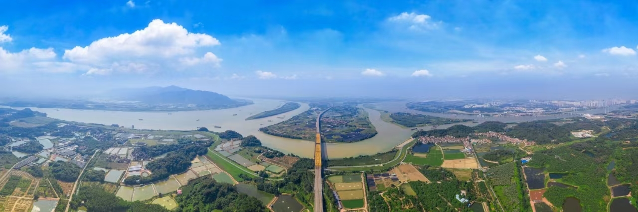 破局!三水新质农业以八大工程亮出硬核答卷