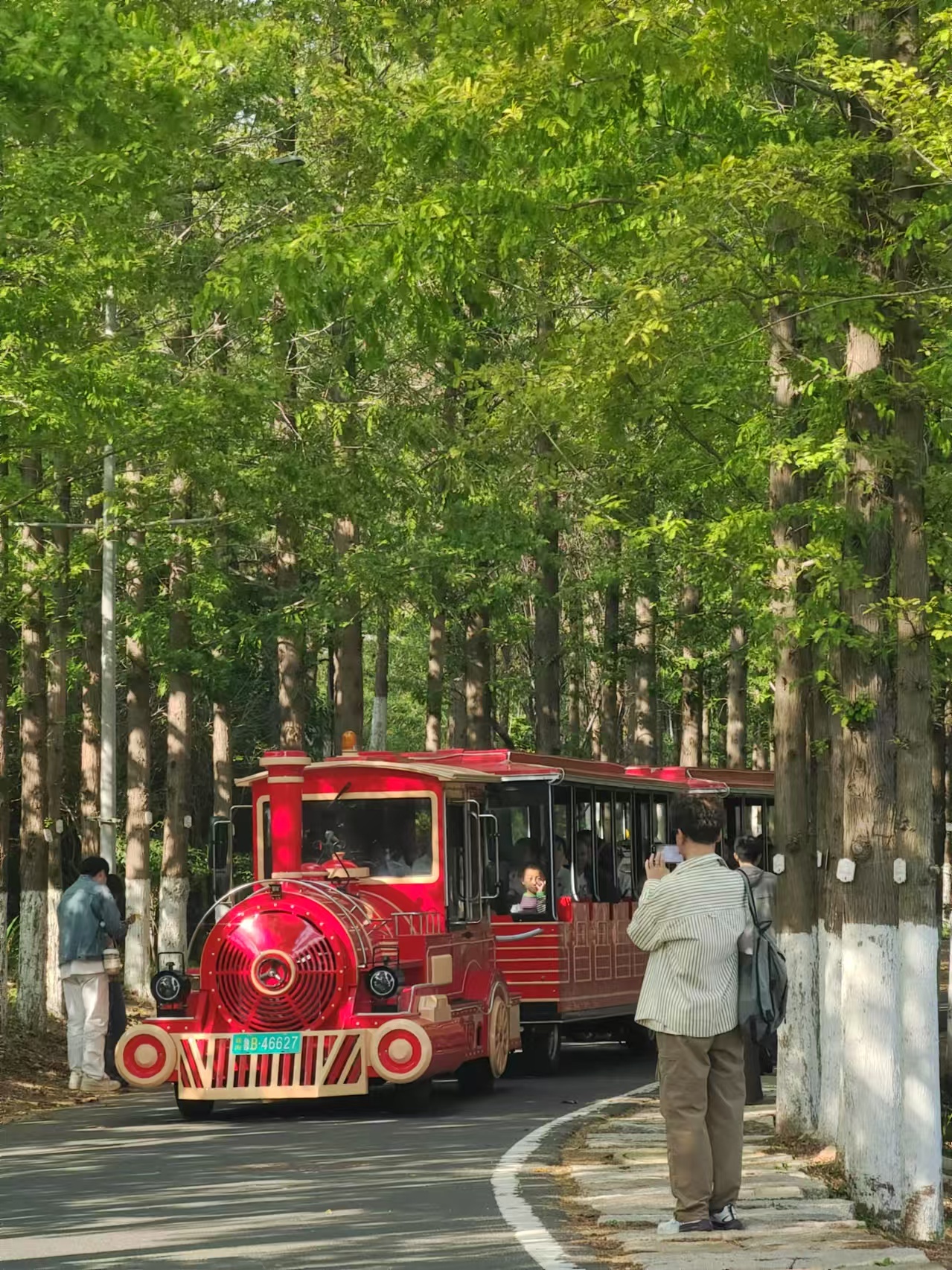 “五一”假期青岛世博园“趣”玩指南！ 绝美芝樱花海+萌宠互动+植物探秘…即刻出发！