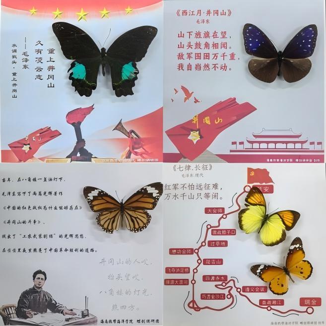 海南热带海洋学院《井冈山红绿结合文创产品设计》 入选第十届全国大学生暑期实践展示活动案例