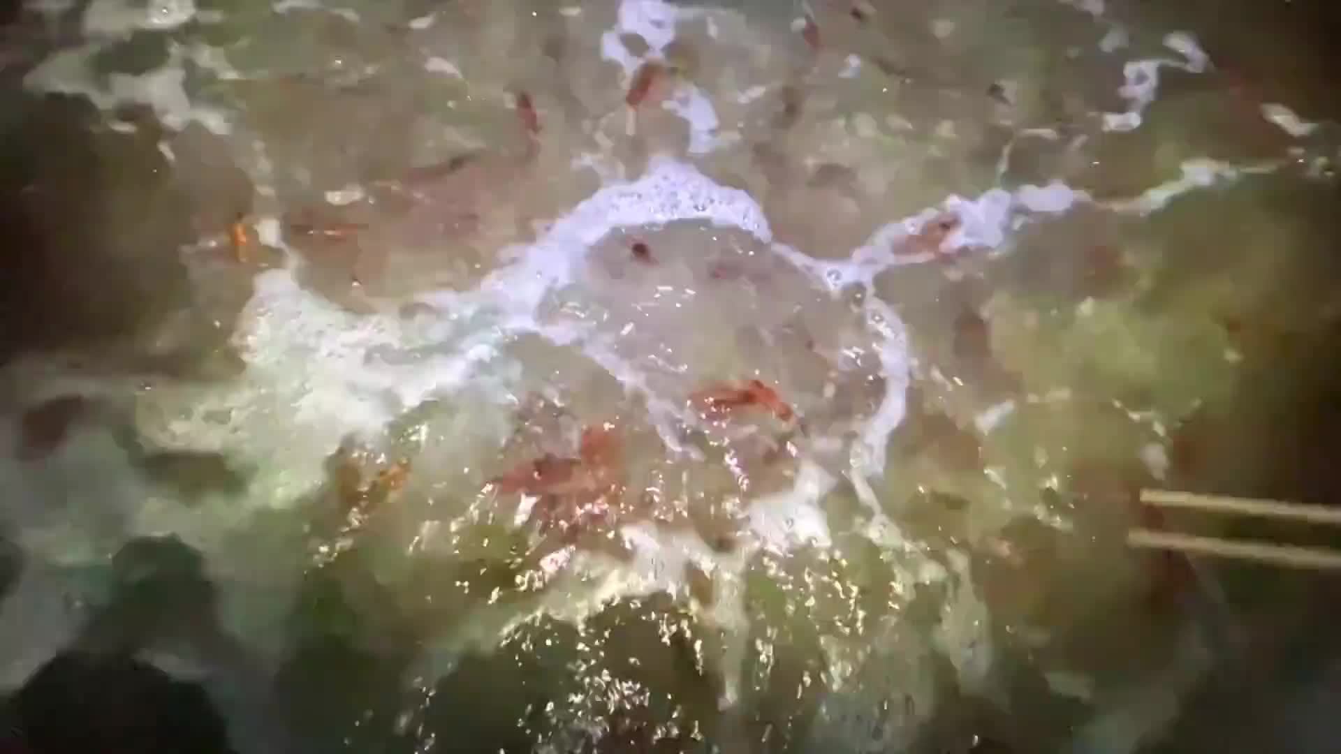 现捞现吃应该就是赶海的最高境界了吧！新鲜的鱿鱼吃到爽