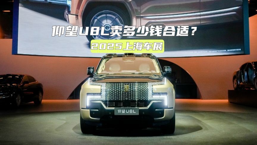 上海车展丨Cyber X走科幻路线，仰望U8L卖多少钱合适？