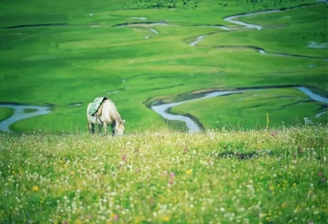 五一来甘南　线路都给你备好了