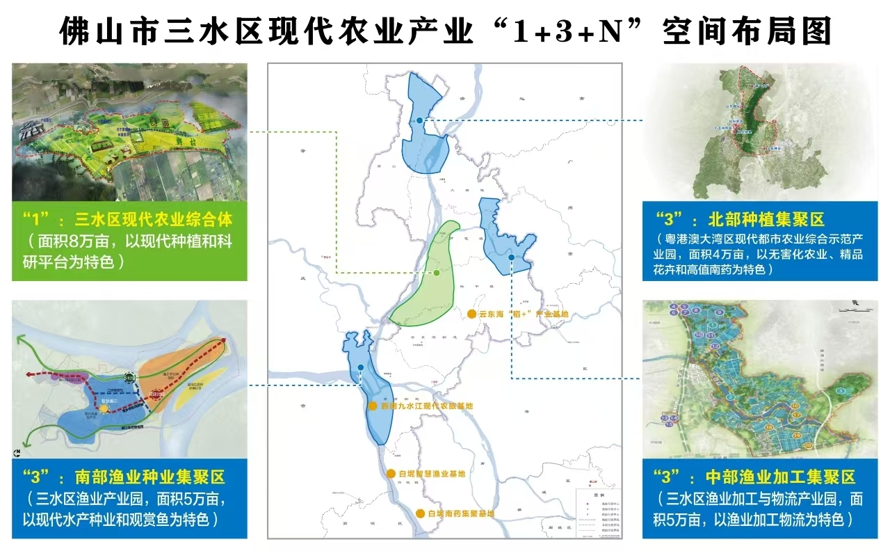 破局!三水新质农业以八大工程亮出硬核答卷