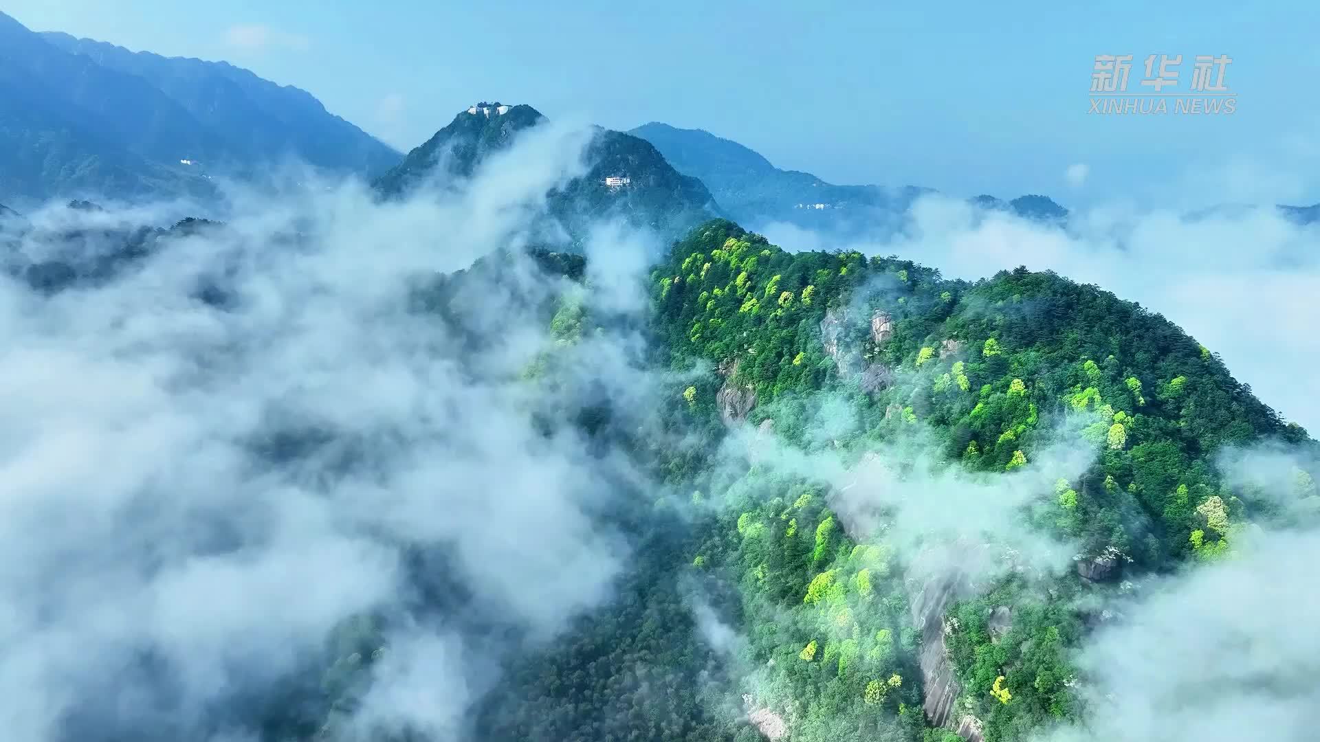 安徽九华山：春日云海如画卷