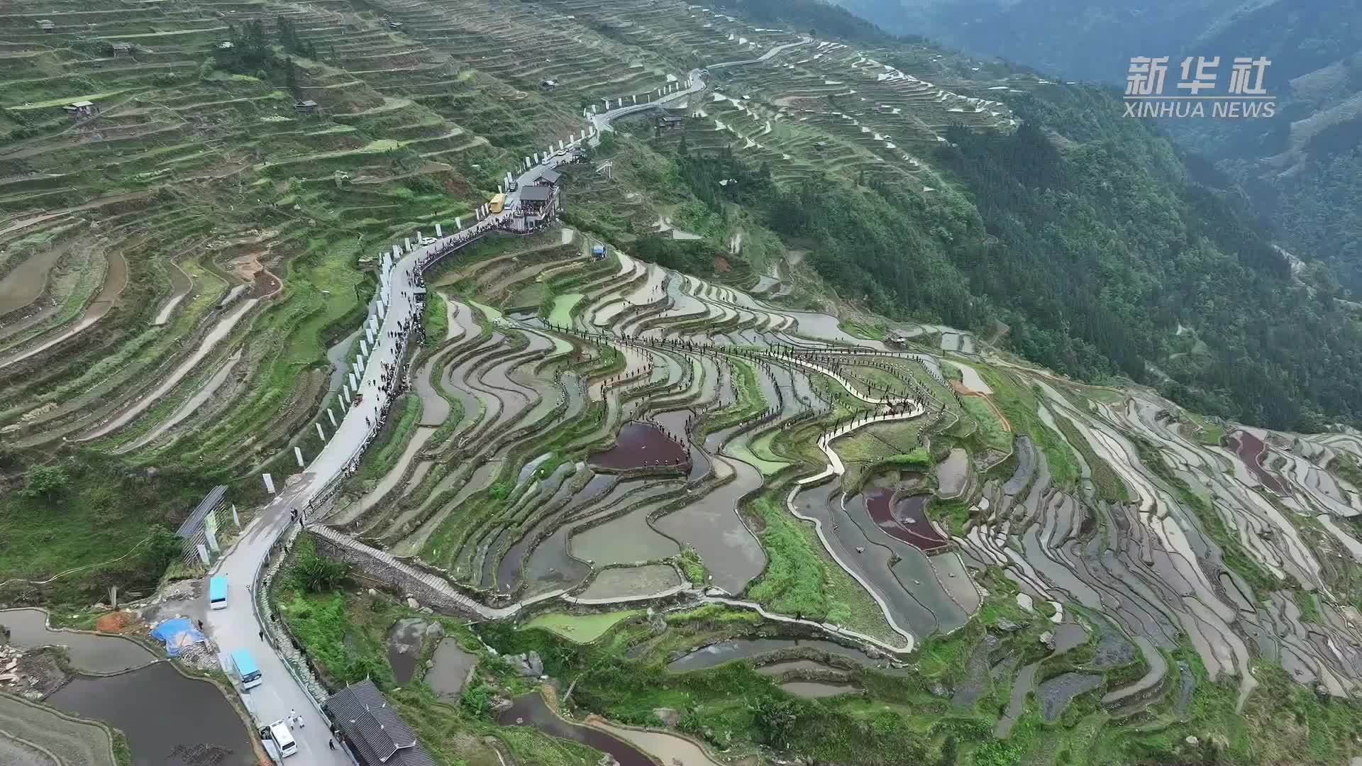 贵州加榜梯田“开秧门”里的农耕景观
