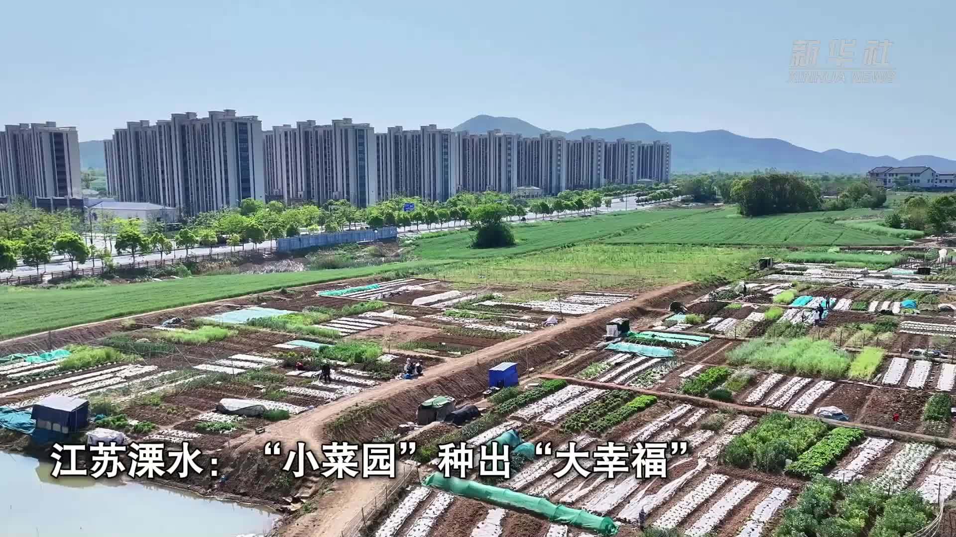 江苏溧水：“小菜园”种出“大幸福”