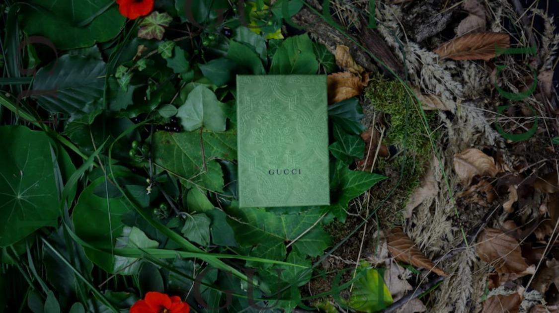 开云集团一季度收入下滑14%，奢侈品为啥跌个不停？